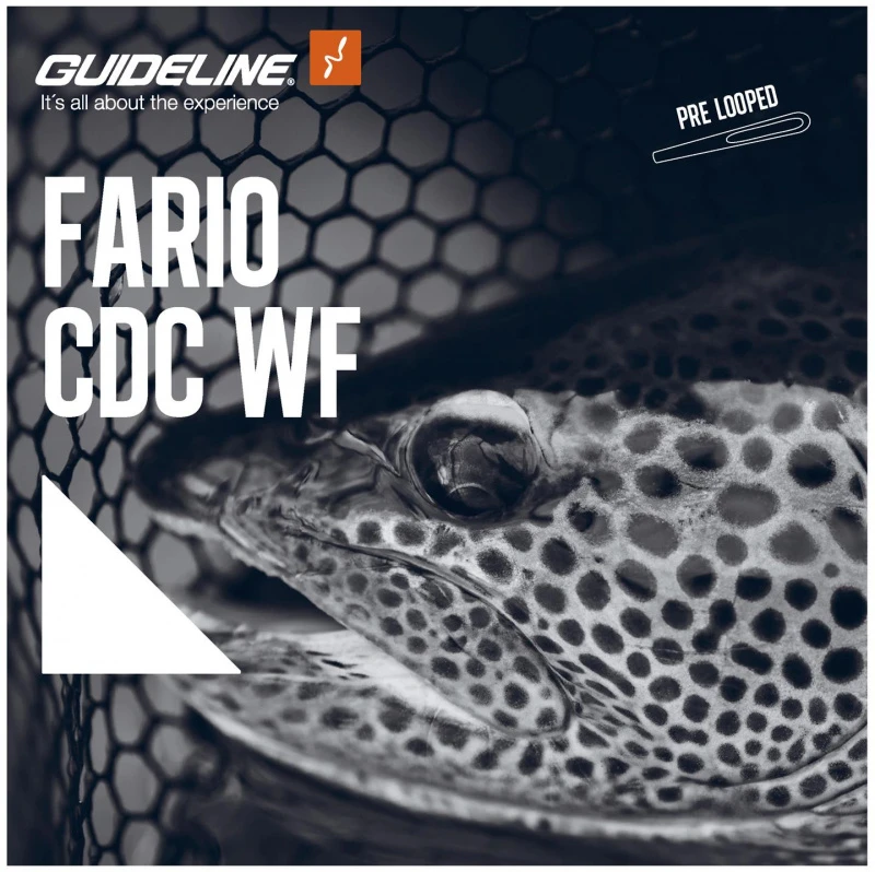 Guideline Fario CDC WF 2 Guideline Fario CDC WF – Bild 2