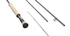 Sage R8 Core -Daiwa Verkäufe 3904R8r 3