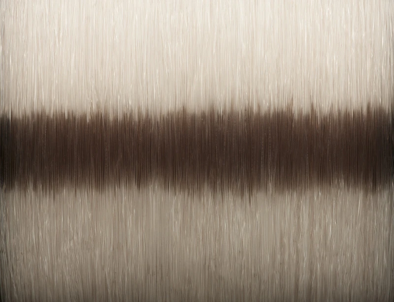 Savage Gear Silencer Mono Fade 1500m 2 Savage Gear Silencer Mono Fade 1500m – Bild 2