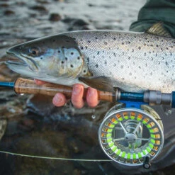 Vision Stifu Flyrod 5 Vision Stifu Flyrod -Daiwa Verkäufe VFU4967r 3